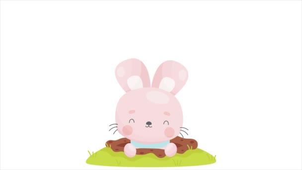 Carino cartone animato coniglietto di Pasqua guardando dal buco. Buona Pasqua bolla salta fuori. Video animetion vettoriale. - Filmati, video