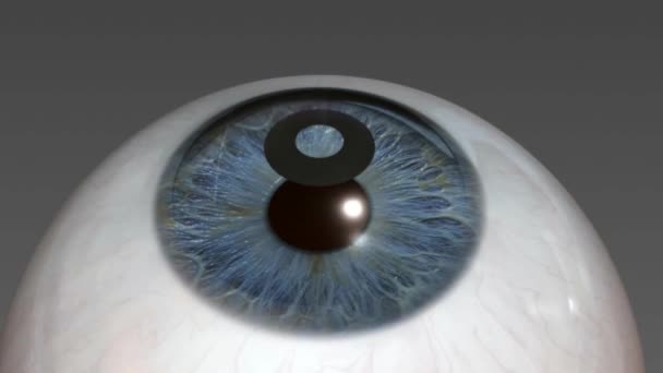 Chirurgie de la cataracte vue application - Séquence, vidéo