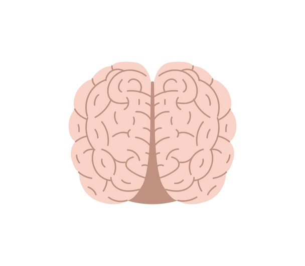 Sağlıklı insan beyni, beyaz arka planda izole edilmiş organ vektör çizimi düşünüyor.. - Vektör, Görsel