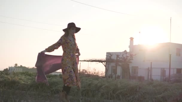 Mulher elegante em chapéu andando no campo no verão - Filmagem, Vídeo