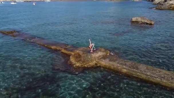 Spor kıyafetli zayıf bir kadın, kayalık deniz kıyısında yoga yaparken "Revolved Triangle Asana" yapıyor. - Video, Çekim