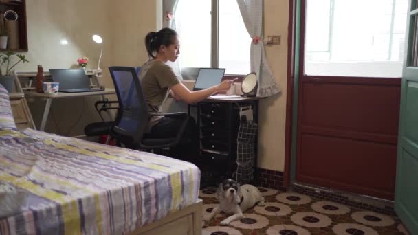 Cheerful Asian female in casual clothes stroking dog while sitting at table resting during work on the computer at home - Footage, Video
