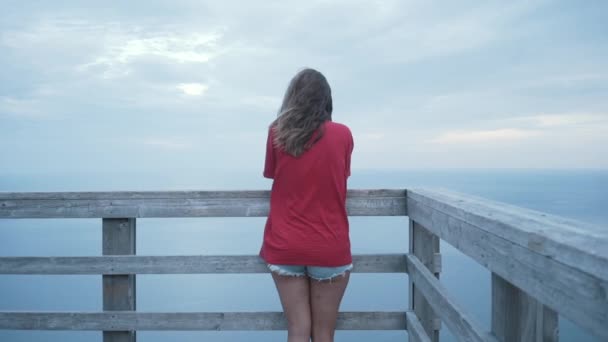 Vista trasera de una mujer irreconocible parada en la valla contra el paisaje oceánico y el gran bosque de coníferas - Metraje, vídeo