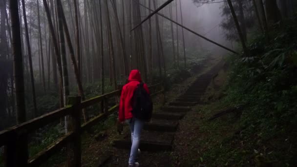 Takaisin näkymä tunnistamaton turisti sadetakki ja reppu kävely jalankulkijoiden silta johtaa läpi tiheä vihreä metsä sateinen päivä - Materiaali, video