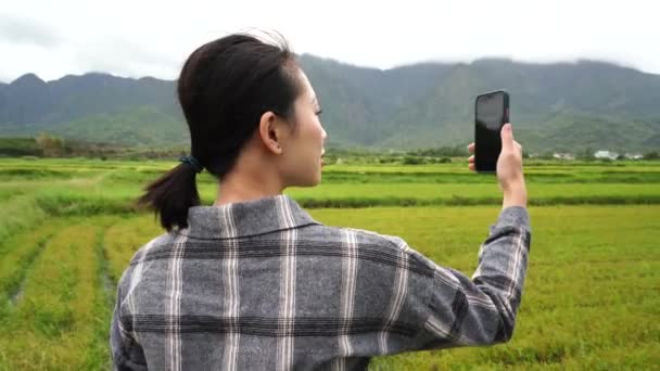 Back view of unrecognizable Asian female taking photo of green rice field while relaxing during weekend in summer - Imágenes, Vídeo