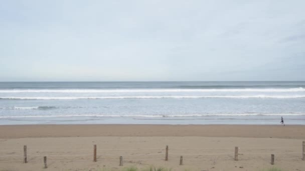 Мужчина в активной одежде бегает по одинокому пляжу - Кадры, видео