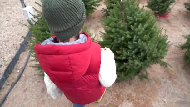Hermoso niño rubio con sombrero de lana verde, chaleco rojo, jersey blanco, pantalones azules y botas amarillas eligiendo su árbol de Navidad - Imágenes, Vídeo