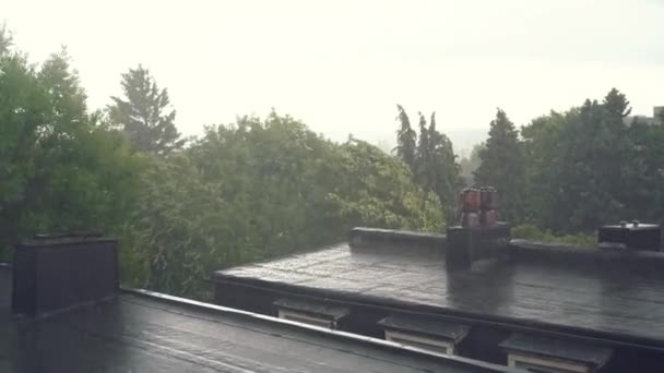 Grüne Bäume wachsen im ländlichen Raum gegen grauen bewölkten Himmel Biegung bei starkem Wind bei starkem Regen an stürmischen, bewölkten Sommertagen - Filmmaterial, Video