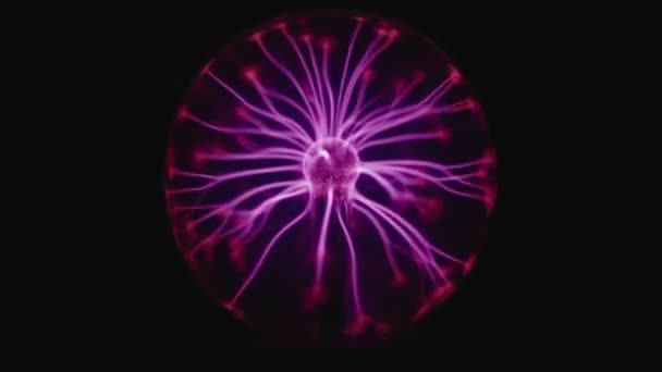 Abstraktní neonový světelný vzor ve tvaru neuronu vytvořený zářící plazmovou koulí na černém pozadí - Záběry, video