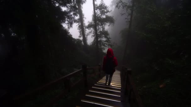 Yağmurluklu ve sırt çantalı bir turist yağmurlu bir günde yoğun yeşil ormanın içinden geçen yaya köprüsünde yürüyor. - Video, Çekim