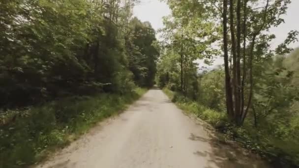 Vista POV di stretto sentiero curvo che attraversa la foresta con erba fresca verde e alberi nella giornata primaverile - Filmati, video