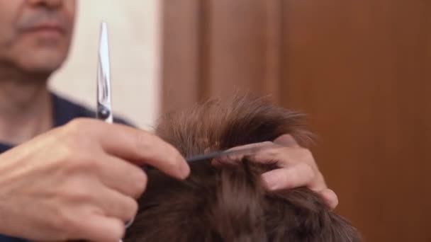 Vista lateral de un hombre irreconocible haciendo corte de pelo a chico usando tijeras contra el interior borroso del baño de luz en casa - Imágenes, Vídeo