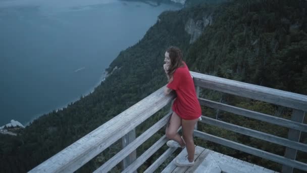 Von oben steht Frau am Zaun gegen Meereslandschaft und großen Nadelwald - Filmmaterial, Video