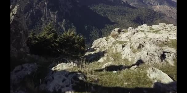 Z výše uvedeného leteckého bezpilotní pohled na malebné skály a stromy se nachází v údolí lesa - Záběry, video