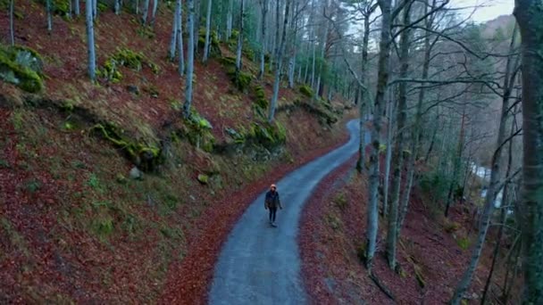 Drone vista di persona irriconoscibile esploratore in abiti caldi passeggiando lungo il sentiero nel bosco la sera durante le vacanze in autunno - Filmati, video