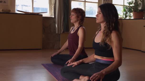 Boční pohled na klidné ženy sedící v Lotusu pózují na rohožích ve studiu s vůní tyčinky a dělá jógu při společném cvičení bdělosti - Záběry, video