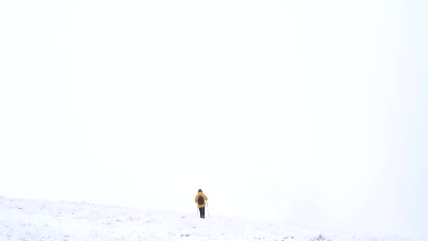 Back view of anonymous hiker with trekking poles walking on snowy ground in Pyrenees mountains in Andorra - Footage, Video