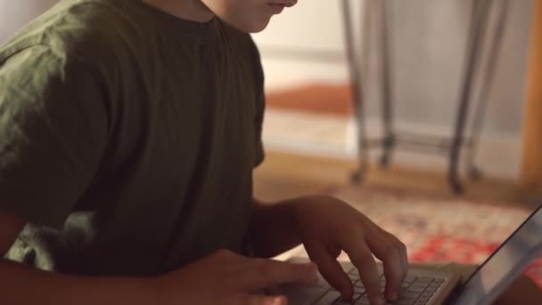 Serious little boy sitting on cough with legs crossed and typing on laptop at home - Footage, Video