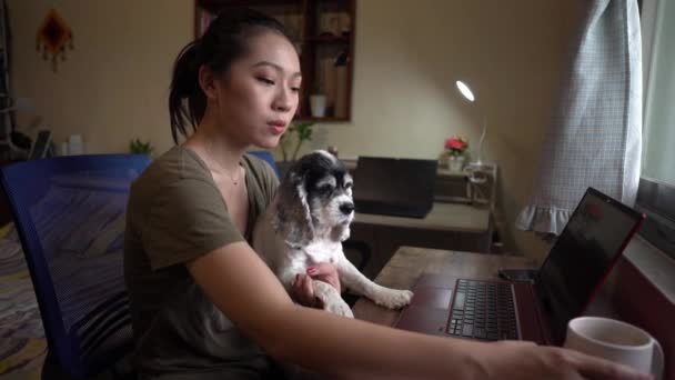 Side view of happy female freelancer sitting on chair taking notes on notepad while holding a dog working remote from home and drinking hot beverage in a mog - Video