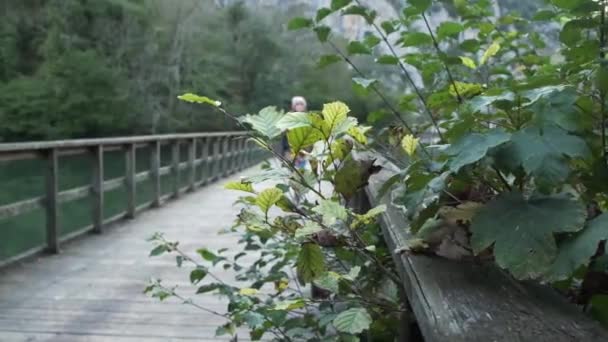 Позитивная молодая женщина в теплой одежде идет по деревянному пешеходному мосту над спокойным озером в тихом парке ранней осенью - Кадры, видео