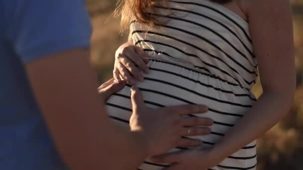 Widok z boku przycięte nierozpoznawalny mężczyzna delikatnie dotykając brzucha ciężarnej kobiety stojąc na suchym polu podczas zachodu słońca na wsi - Materiał filmowy, wideo