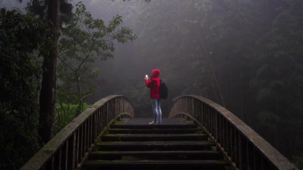 From above back view of anonymous hiker in hoody raincoat standing on footbridge and taking picture of nature while hiking alone in green coniferous forest in foggy rainy weather - Footage, Video