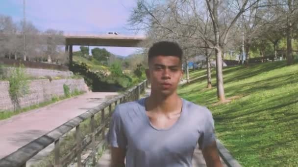 Schwarzer Jogger läuft auf Gehweg im Park - Filmmaterial, Video