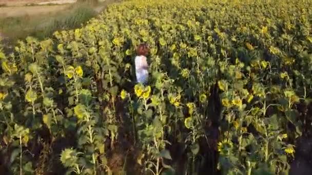 Desde arriba vista aérea trasera de niño preadolescente irreconocible caminando en floreciente prado de girasol en el campo disfrutando del verano - Metraje, vídeo