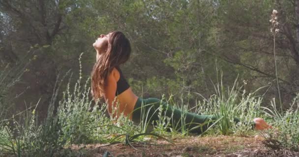 Zdola mladá zdravá fena cvičí jógu uprostřed zeleného parku za slunečného dne - Záběry, video