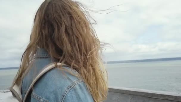 Вид сзади на серенькую самку, стоящую у обочины, опираясь на деревянный забор, наслаждаясь удивительными пейзажами в бухте Пегги в Канаде - Кадры, видео