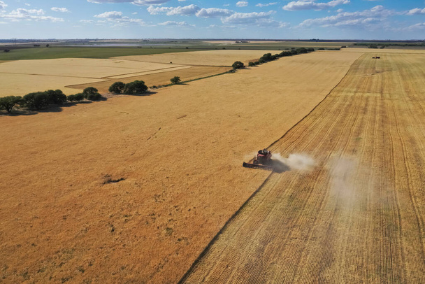 Zicht op de oogst van gerst in La Pampa, Argentinië. - Foto, afbeelding