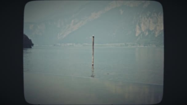 Μοναχικός γλάρος που κάθεται σε ξύλινη στήλη - Πλάνα, βίντεο