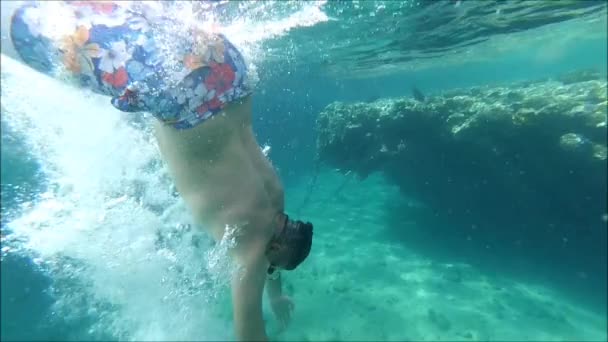 Plongée en apnée dans la mer Rouge - Séquence, vidéo