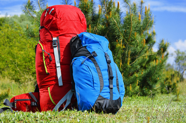 Two touristic backpacks on the meadow - Photo, Image