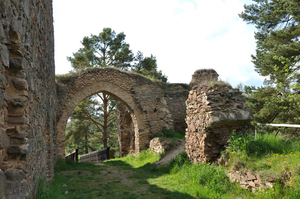 Photo des ruines du vieux château de Vrskamyk
 - Photo, image