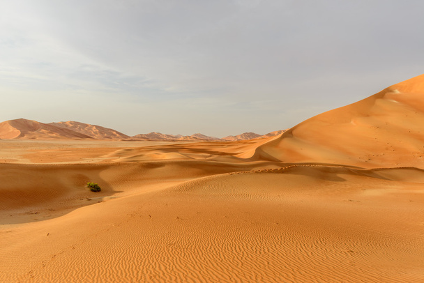 αμμοθίνες στην έρημο του Ομάν (Ομάν) - Φωτογραφία, εικόνα