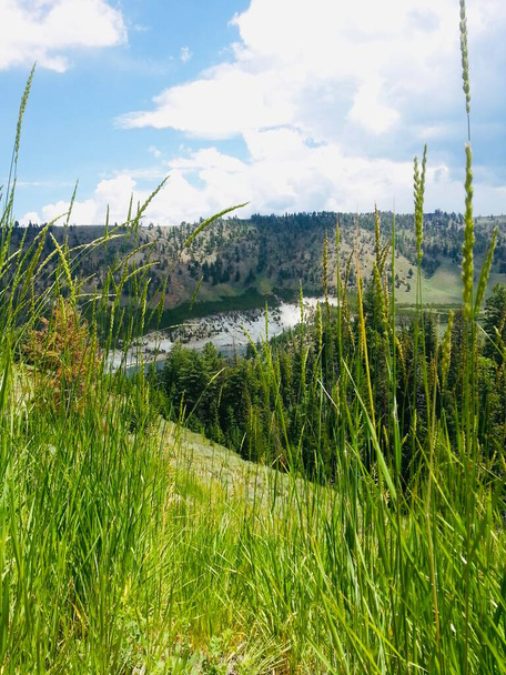 Yellowstone Ulusal Parkı 'nın doğal güzelliği - Fotoğraf, Görsel