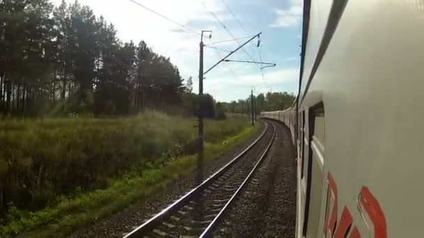 Trenes que conducen en una esquina en el bosque
 - Imágenes, Vídeo