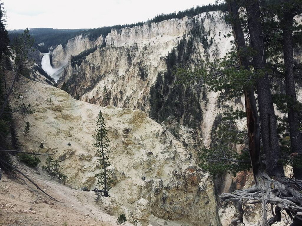 Yellowstone Ulusal Parkı 'nın doğal güzelliği - Fotoğraf, Görsel