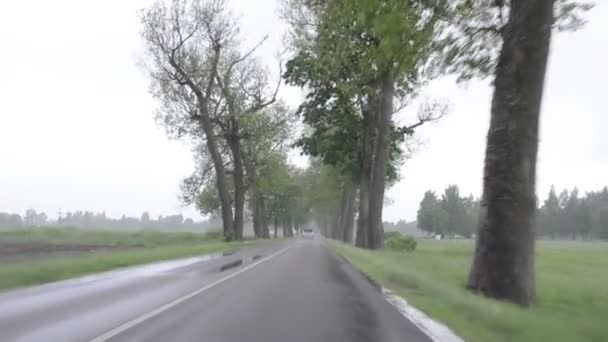 yağmur araba ön cam - Video, Çekim