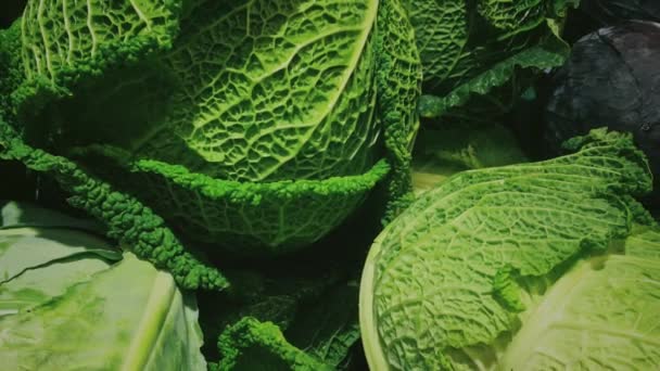 Coles orgánicos frescos en el mercado de los agricultores, verduras y alimentos - Metraje, vídeo