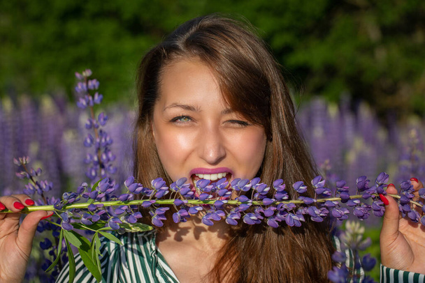 hermosa chica muerde tallo de altramuz sensualmente mirando a la cámara en floreciente prado - Foto, imagen