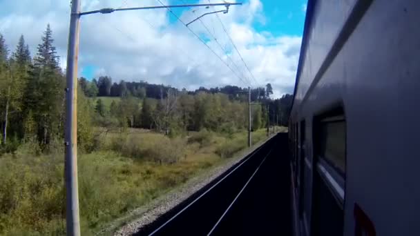 Zug fährt an einer Landschaft mit Wald vorbei - Filmmaterial, Video