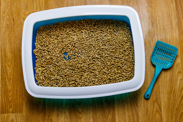 Caja de arena de gato con relleno y cuchara en el suelo - Foto, Imagen