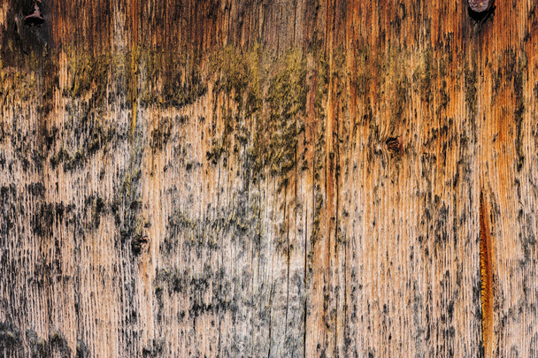 ηλικίας ξύλινες σανίδες φόντο - Φωτογραφία, εικόνα