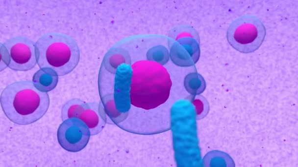 Abnorme Plasmazelle oder B-Zelle im Multiplen Myelom, die Paraprotein emittieren 3D-Renderanimation - Filmmaterial, Video