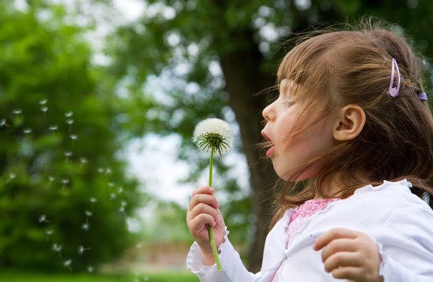 Lovely little blond little girl blowing a dandelion - Φωτογραφία, εικόνα