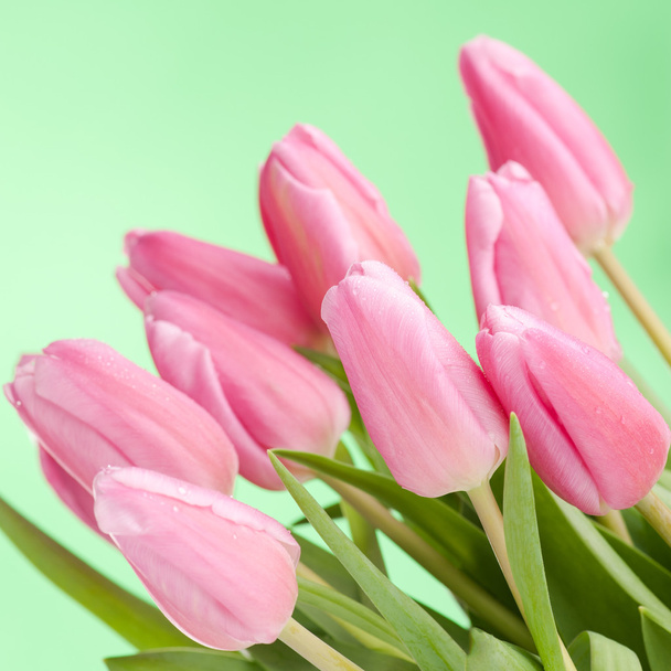 Pink tulips bouquet  - Foto, Bild