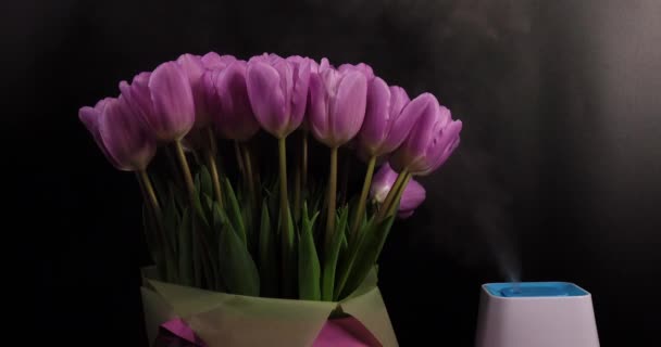 Umidificador de ar com flores de primavera em um fundo preto - Filmagem, Vídeo