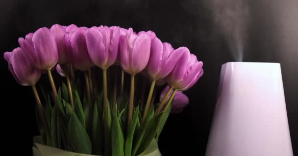 Luftbefeuchter mit Frühlingsblumen auf schwarzem Hintergrund - Filmmaterial, Video